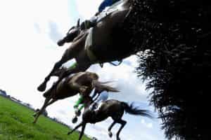 A low angle view of horses landing after jumping a fence during a steeplechase horse race.