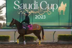 A horse works out on the track in Saudi Arabia.