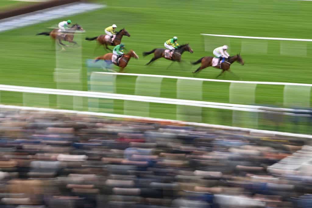 Horses approach the last flight during the Boodles Juvenile Handicap at Cheltenham 2022.