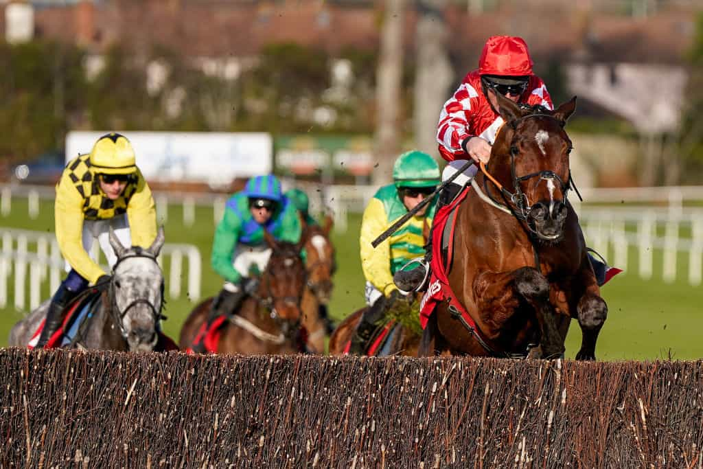 Davy Russell, riding Mighty Potter, clears the last to win the 2023 Ladbrokes Novice Chase at Leopardstown.