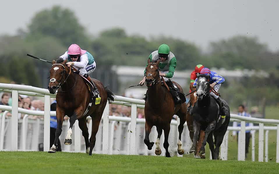 Tom Queally riding Frankel to win the Greenham Stakes at Newbury in 2011. 