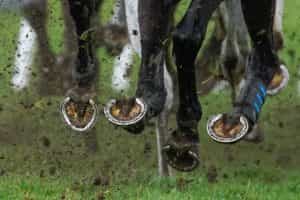A close up of horse hooves racing on a muddy surface.