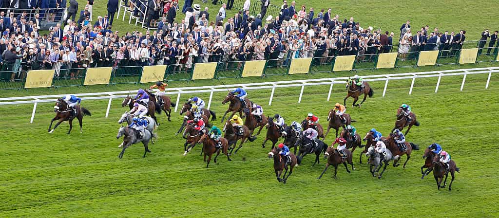 Portage leads the field home to win the 2016 Royal Hunt Cup at Royal Ascot.