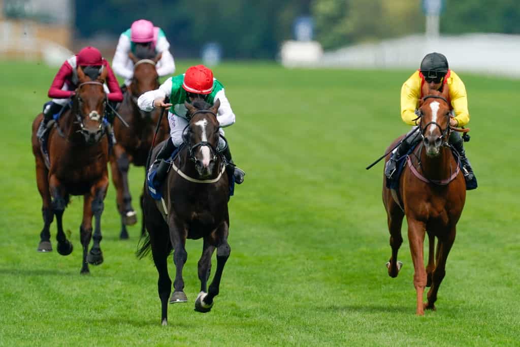 PJ McDonald riding Pyledriver wins the 2022 King George VI and Queen Elizabeth Qipco Stakes at Ascot.