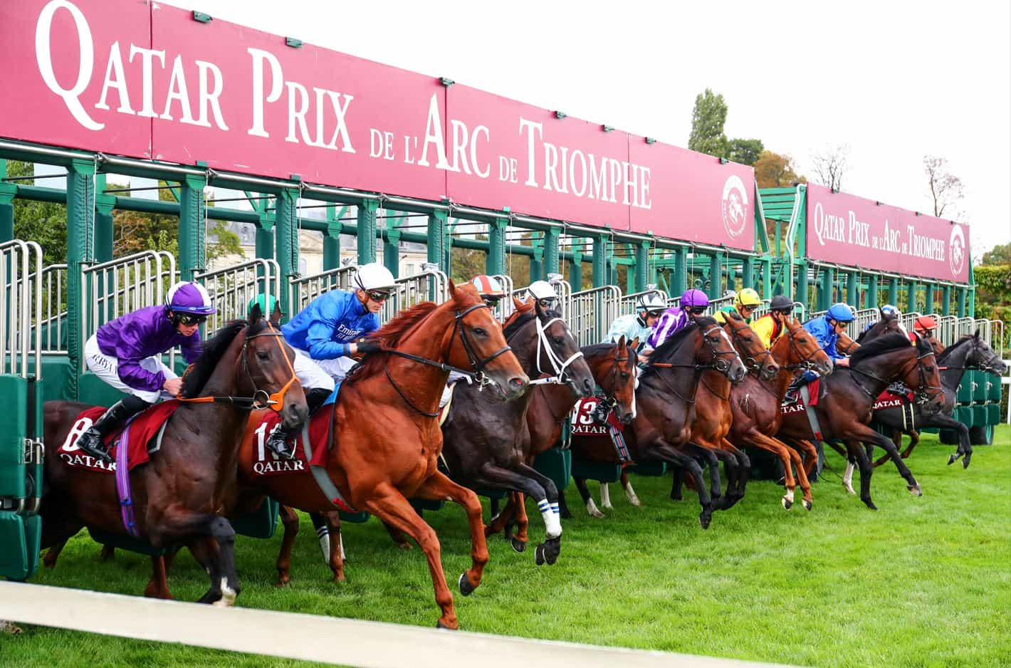 Horses bursting from the starting gates at Longchamp.