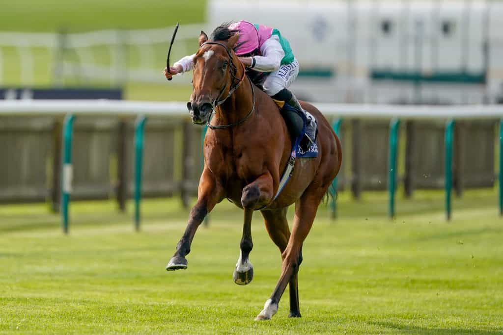 Ryan Moore riding Nostrum to win The Tattersalls Stakes at Newmarket Racecourse on September 22, 2022.