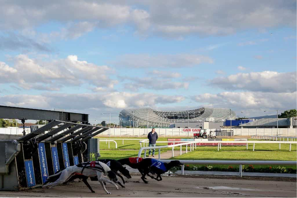 Greyhounds pounce from the starting traps at Shelbourne Park.