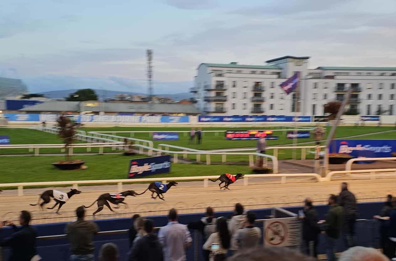 The Other Kobe in action during the 2023 Irish Greyhound Derby.