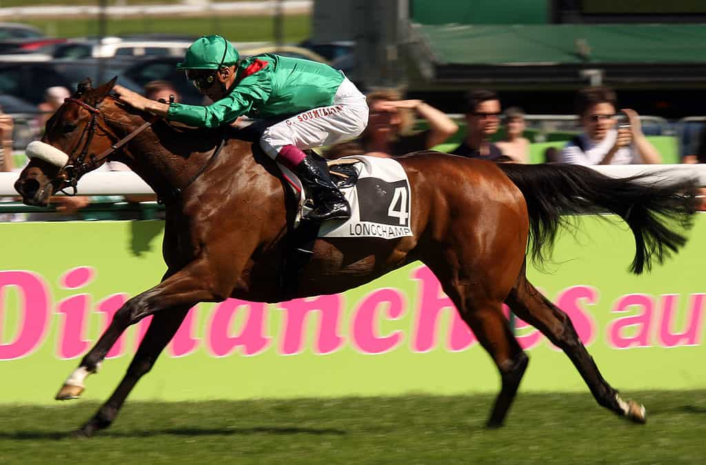 Cristophe Soumillon riding Zarkava at Longchamp Racecourse, May 2008.