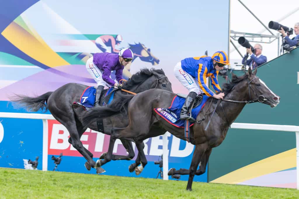 Auguste Rodin and King of Steel cross the line first and second in the 2023 Betfred Derby.