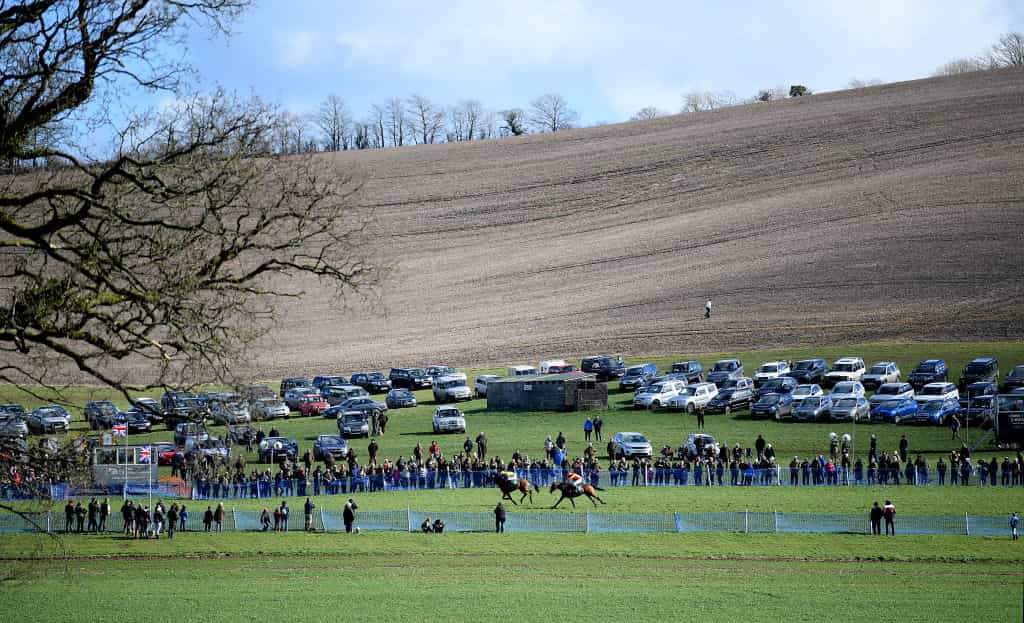 Horses make their way down the home straight during a point to point race at Buckfastleigh 