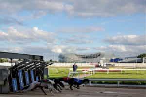 Greyhounds burst from the traps at Dublin’s Shelbourne Park.