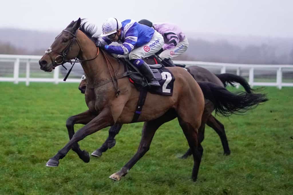 Racehorse Knappers Hill in action.