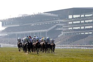 A rear view of horses galloping past a packed Cheltenham grandstand.