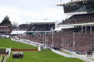 A packed grandstand at the Cheltenham Festival.