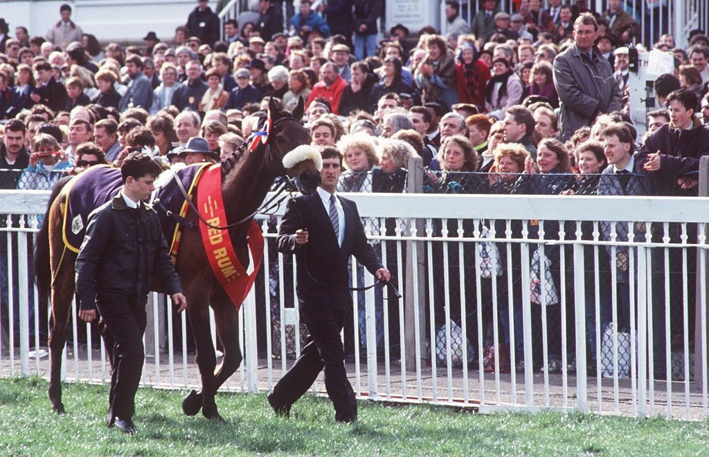 Red Rum being paraded at the 1993 Grand National.