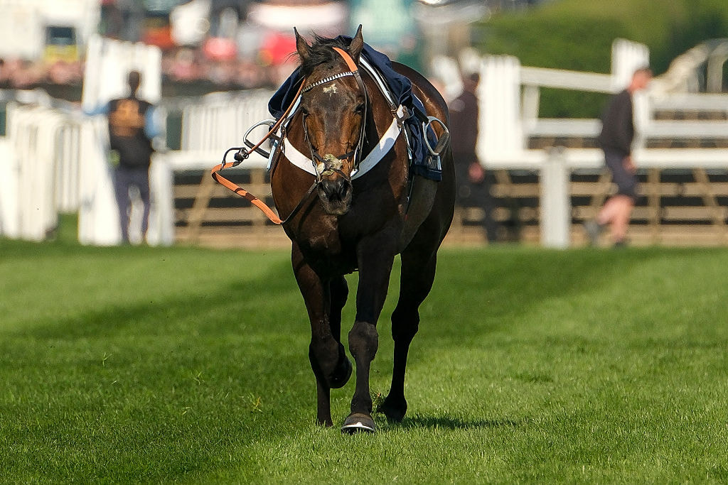 Constitution Hill riderless at Aintree